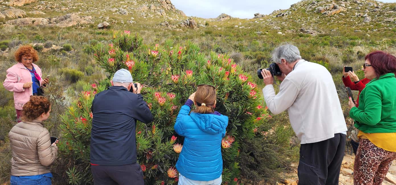 image n.17 of Oudtshoorn: Half-Day Swartberg Pass Private Guided Tour activity in Western Cape, uploaded by supplier