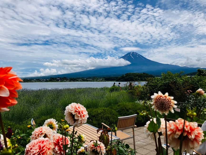image n.26 of Tokyo: Mt. Fuji, LakeKawaguchiko, Pagoda, & Oishi Park Tour activity in Fujinomiya, uploaded by supplier