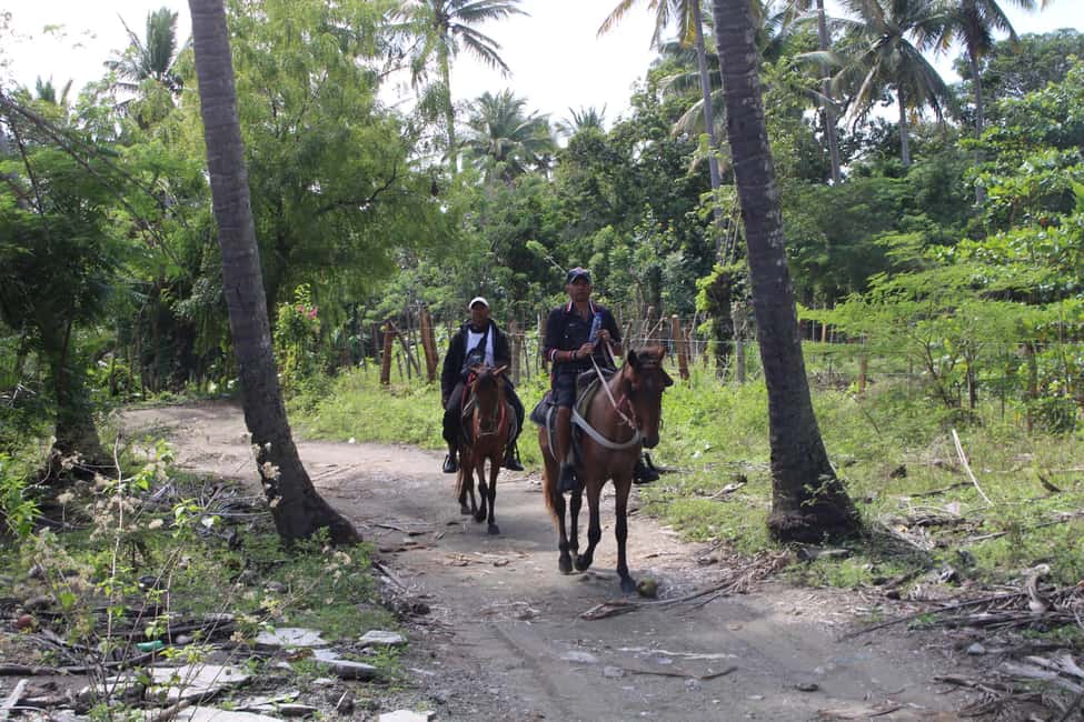 image n.5 of Beach horse back riding with countryside activity in Puerto Plata Province, uploaded by supplier