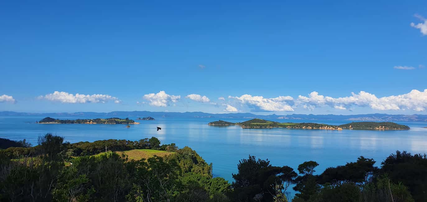 image n.20 of Waiheke Island: Wine Tour + Lunch at Award Winning Venue activity in North Island, uploaded by supplier