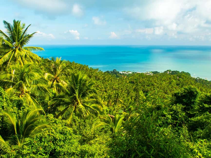 billede nr.4 af aktiviteten Koh Samui: ATV-tur gennem jungle, bjerge og vandfald i Thailandbugten, uploadet af udbyder