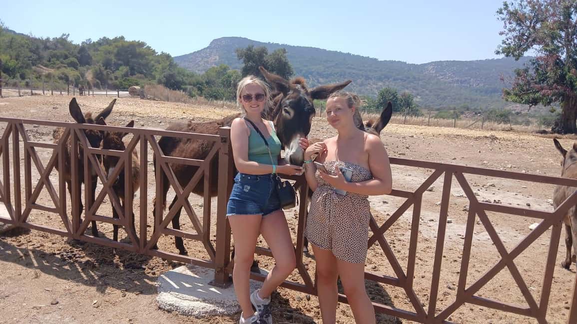 image n.8 of Paphos: Avakas Gorge & Turtle Bay Jeep Tour with Donkey Farm activity in Paphos District, uploaded by supplier