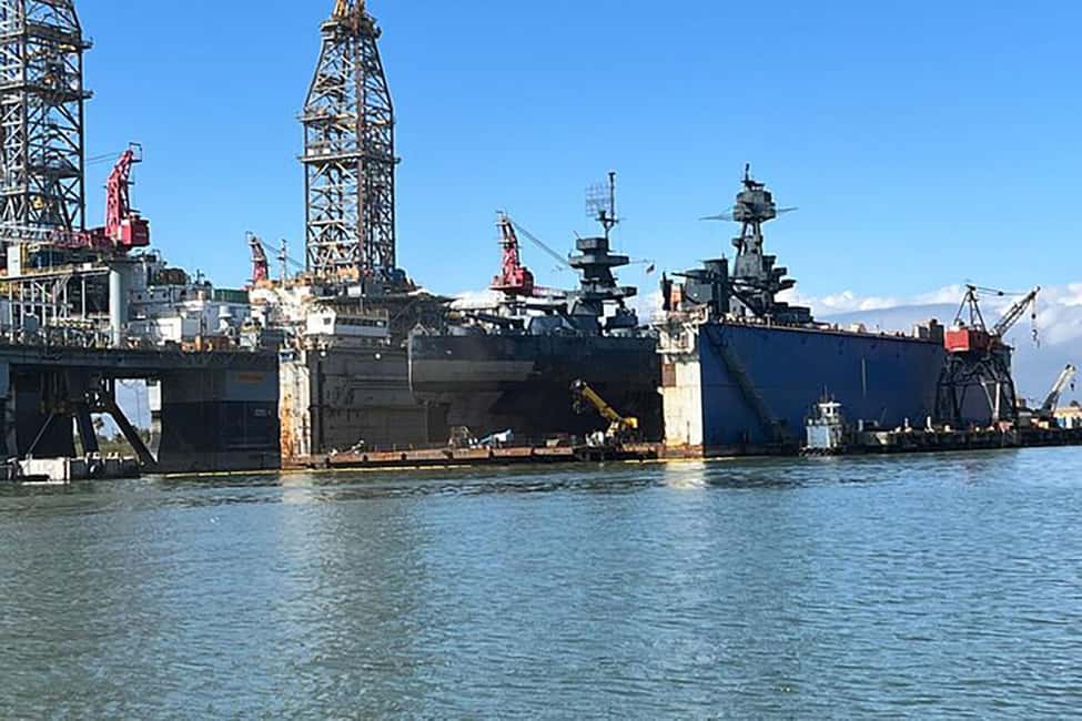 imagen n.º 7 de Galveston: Crucero de observación de delfines actividad en Galveston, subida por el proveedor