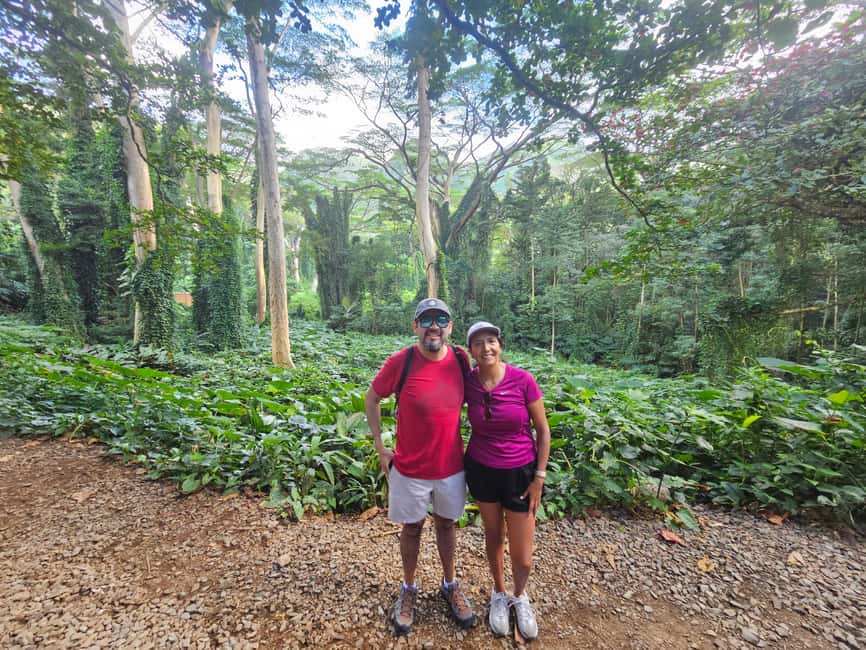 Immagine nº 34 di Oahu: Giro in bici elettrica a Waikiki ed escursione alle cascate di Manoa attività a Honolulu, caricata dal fornitore