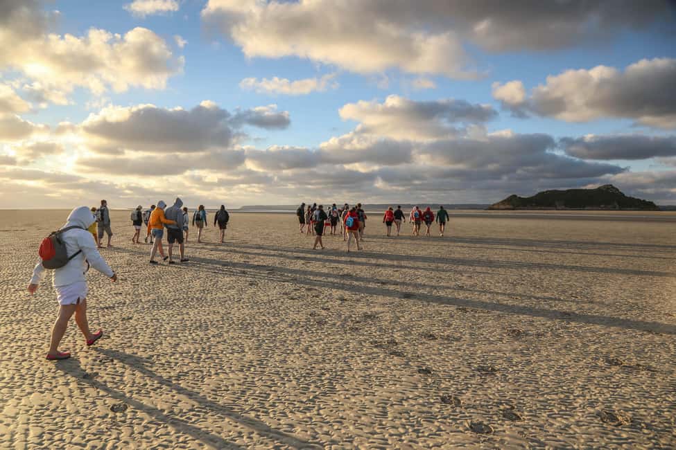 Image N°2 de Mont-saint-Michel : Promenade au cœur de la Baie activité à Normandie, publiée par le prestataire
