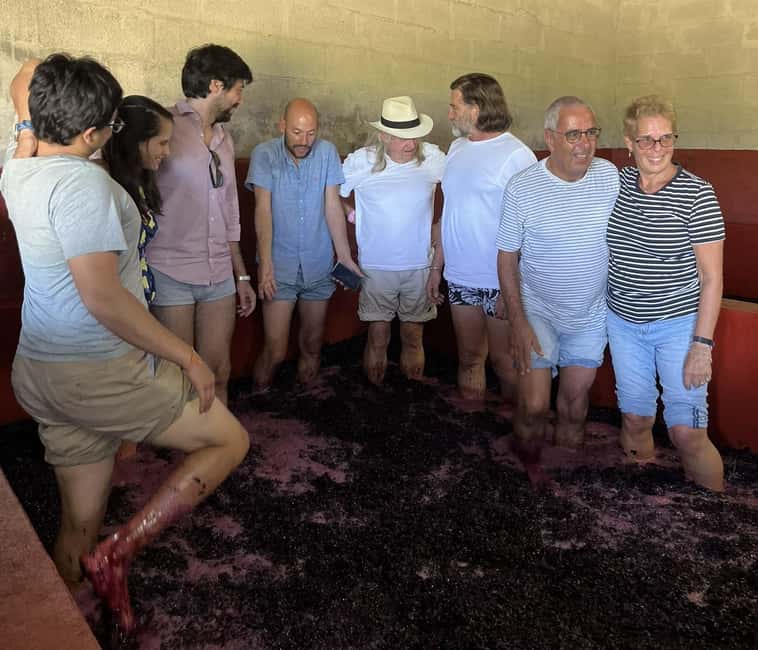 image n.19 of Porto: Douro Valley with Small Wineries, Lunch and Boat Tour activity in Norte Region, uploaded by supplier