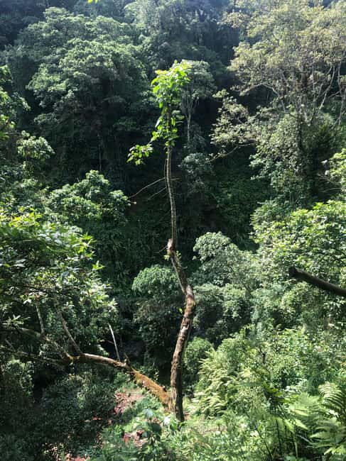 image n.11 of Arusha: Napuru Waterfalls Guided Hike activity in Arusha (Region), uploaded by supplier
