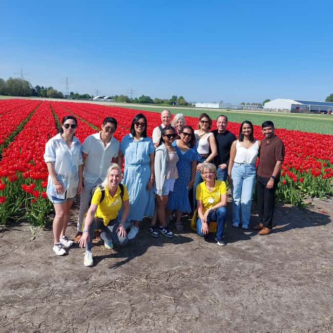image n.31 of From Lisse: Keukenhof Flower Fields Bike Tour activity in Lisse, uploaded by supplier