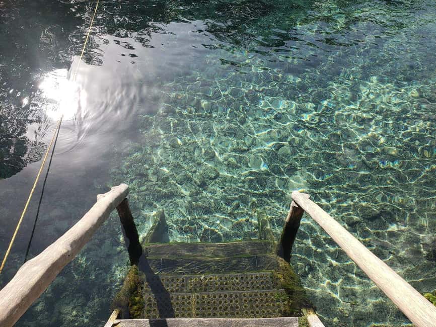 Image N°4 de Depuis Holbox : Tour en bateau de la faune des 3 îles et de la baignade activité à Quintana Roo, publiée par le prestataire