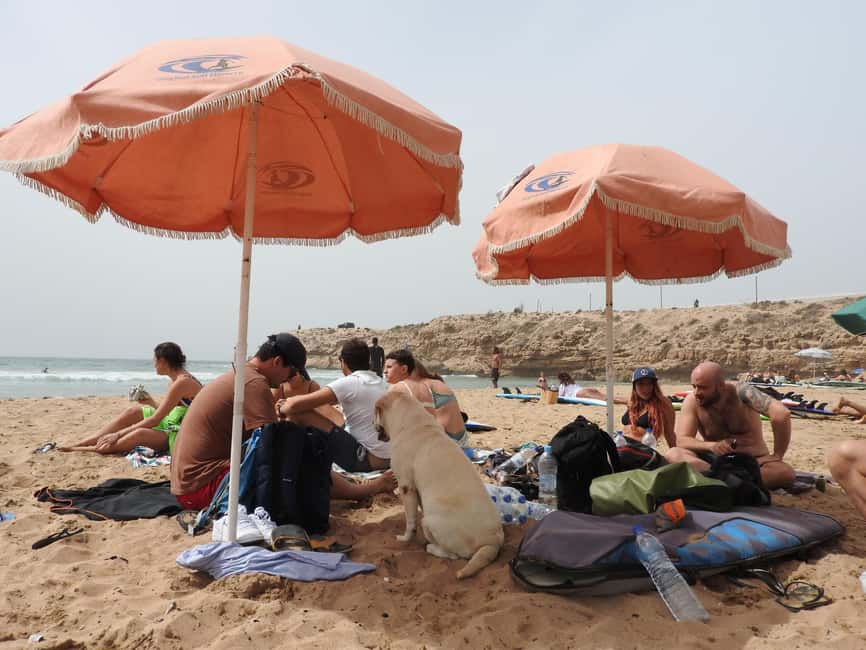 image n.11 of Agadir: Taghazout Beach Surf Lesson with Lunch and Transfer activity in Souss-Massa, uploaded by supplier