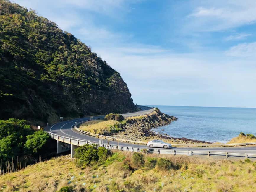 image n.5 of Melbourne: Great Ocean Road Maxi Highlights in One Day activity in Melbourne, uploaded by supplier