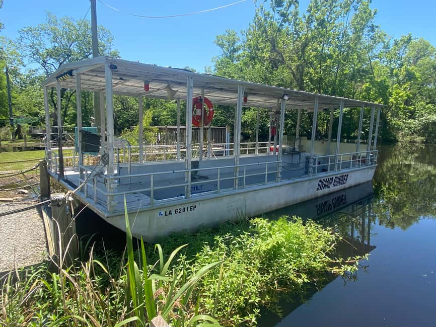 Immagine nº 6 di New Orleans: Tour della palude di Bayou e tour della piantagione di Oak Alley attività a Vacherie, Louisiana, caricata dal fornitore