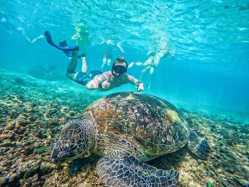image n.4 of Ko Tao: Tao-Nangyuan Snorkeling Day Trip with Meals & Sunset activity in Ko Tao, uploaded by supplier