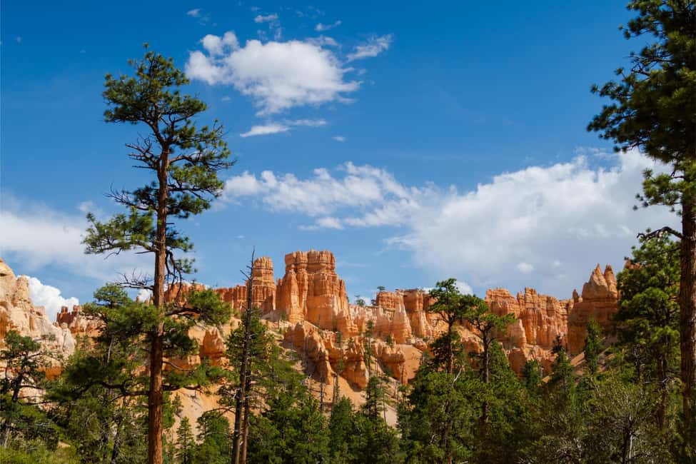 image n.30 of Las Vegas: Grand Canyon, Zion and Monument Valley 3-Day Trip activity in Arizona, uploaded by supplier