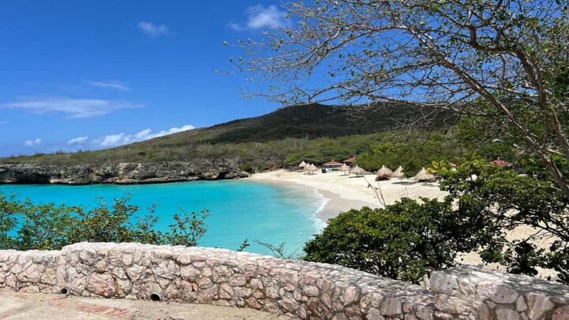 afbeelding n.3 van Willemstad: zwemmen met schildpadden en strandhoppen activiteit in Curaçao, geüpload door aanbieder