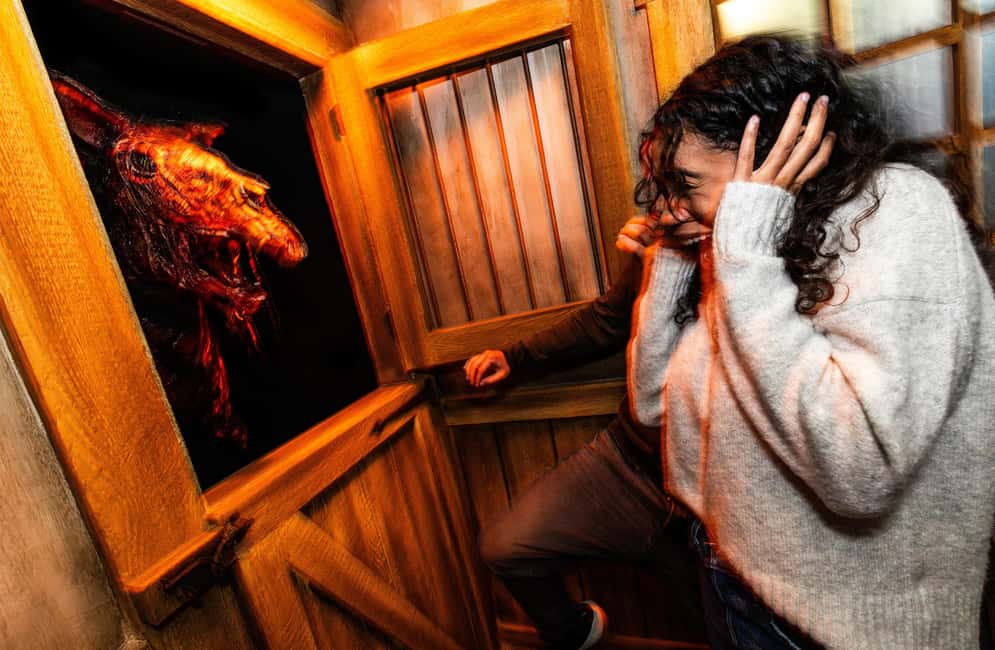imagen n.º 7 de Universal Studios Hollywood: Halloween Horror Nights actividad en Los Ángeles, subida por el proveedor