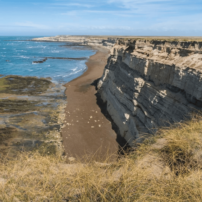 Bild Nr. 4 von Von Puerto Madryn aus: Landausflug auf die Halbinsel Valdés Aktivität in Chubut Provinz, hochgeladen vom Anbieter