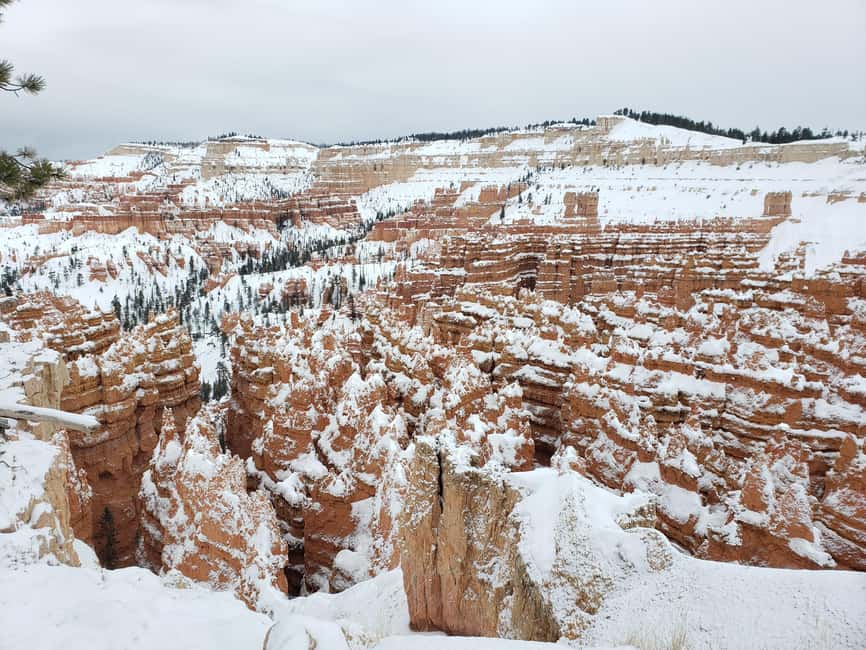 image n.44 of Small Group Tour Zion & Bryce Canyon National from Las Vegas activity in Utah, uploaded by supplier