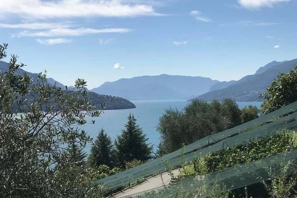 image n.9 of Lake Como: Winery Tour with Wine Tasting activity in Lombardy, uploaded by supplier