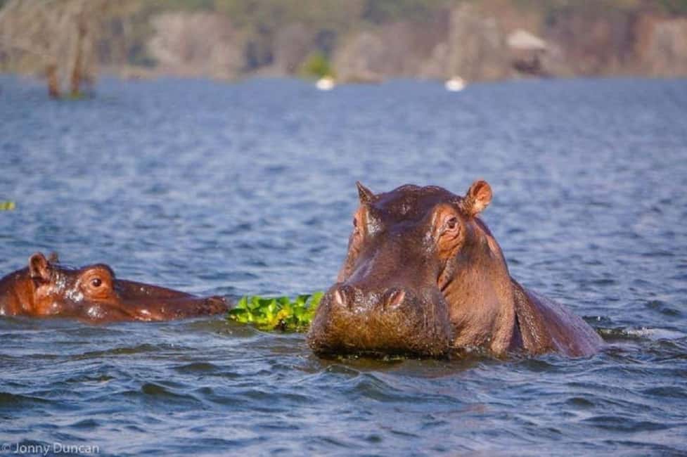 image n.55 of From Nairobi:Full Day Tour to Hell’s Gate National Park activity in Nakuru, uploaded by supplier