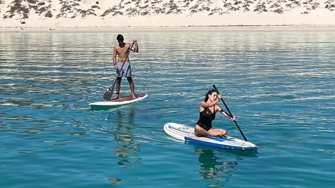 image n.14 of La Paz: Day Cruise & Snorkelling (w/sea lions) Food & Drinks activity in Baja California Sur, uploaded by supplier
