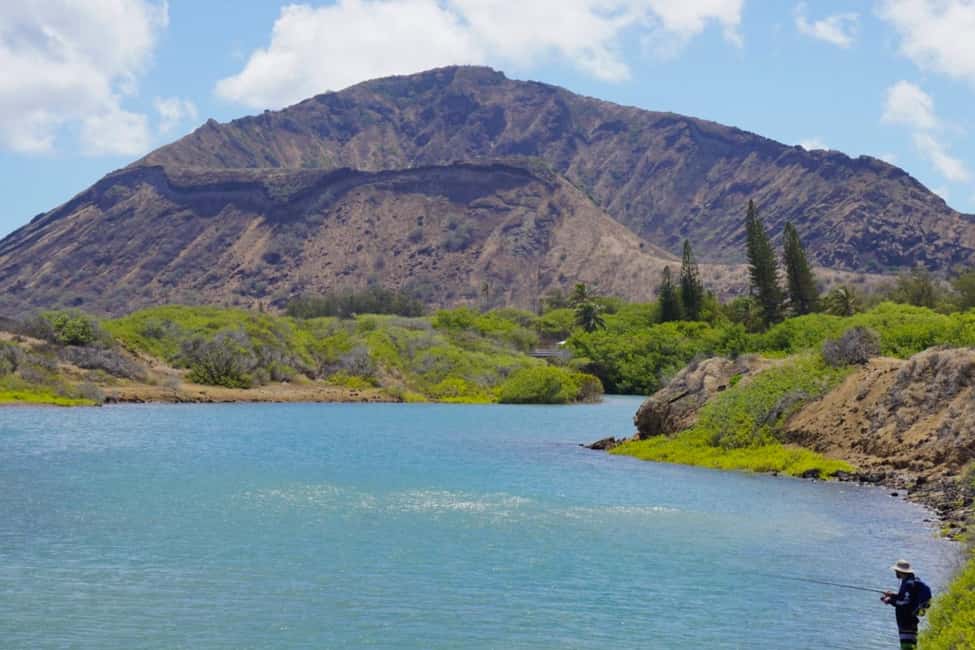 Immagine nº 8 di Oahu: Tour privato - Isola del Cerchio - personalizzabile attività a Honolulu, caricata dal fornitore