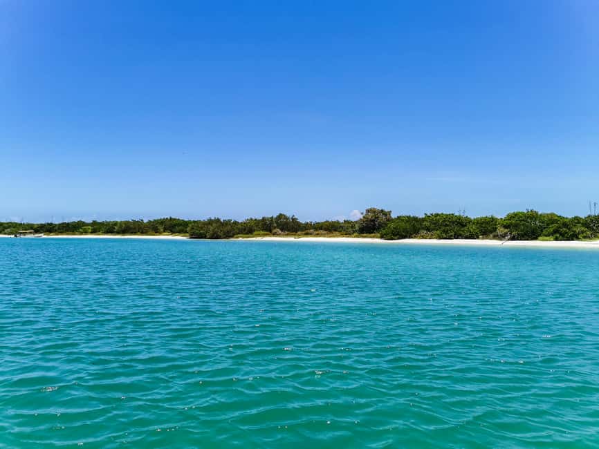 imagem n.6 de De Cancún: Viagem de 1 dia ao Rio Lagartos e Las Coloradas e almoço atividade em Península de yucatán, carregada pelo fornecedor