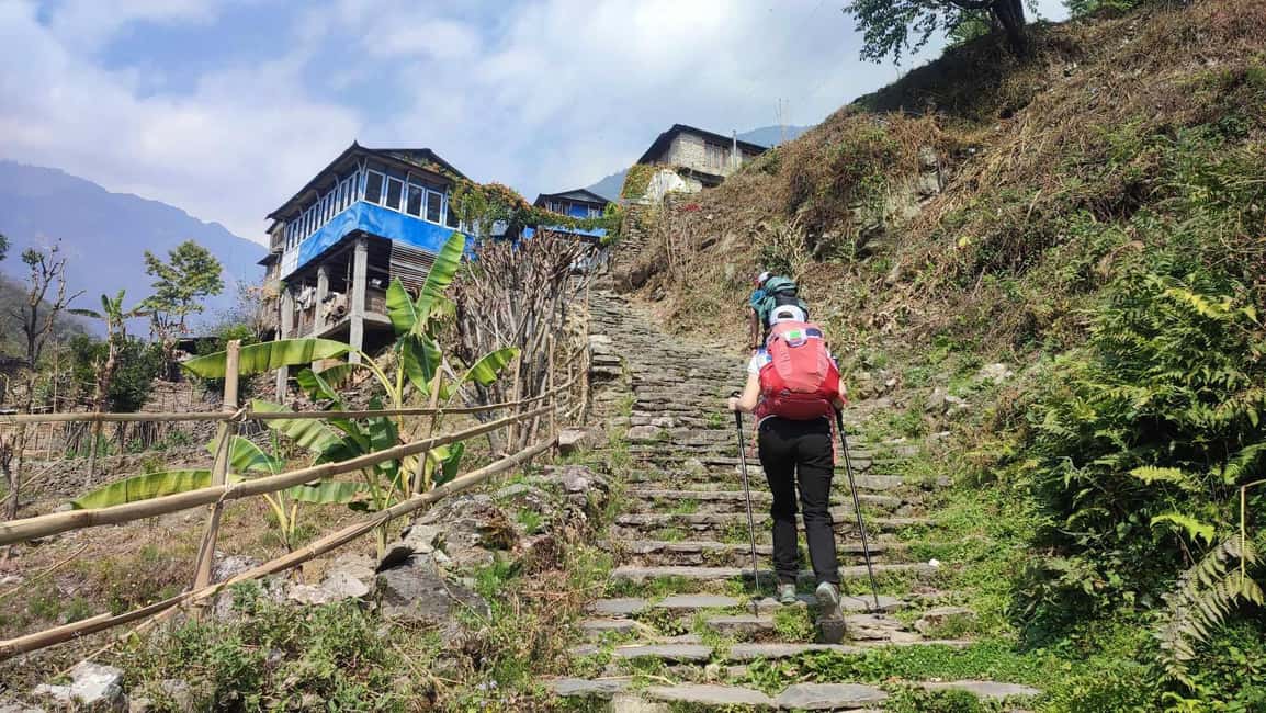 image n.12 of Ghorepani Poon Hill Trek - 4 Days (Full Package) activity in Pashchimanchal, Western Region, uploaded by supplier