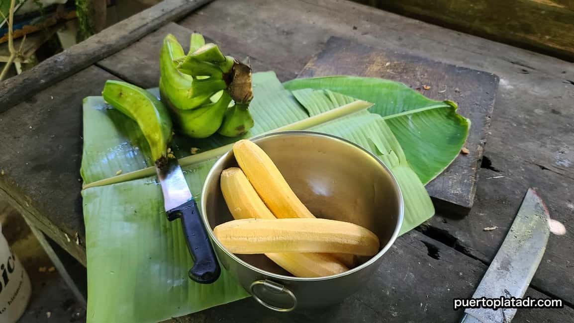 image n.5 of Dominican Republic Countryside Safari Tour from Puerto Plata activity in Puerto Plata, uploaded by supplier