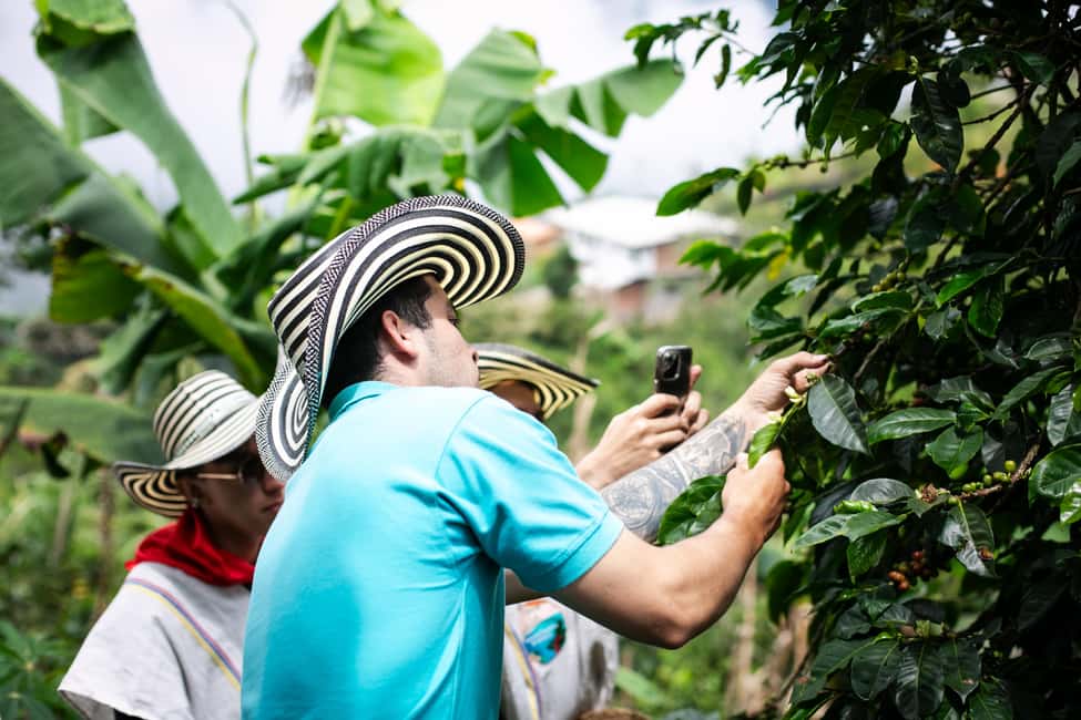 imagem n.29 de Medellín: Tour do café, chegada a cavalo e cana-de-açúcar atividade em Medellín, carregada pelo fornecedor