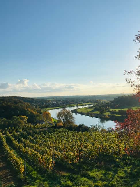 billede nr.11 af aktiviteten Dresden: Bådtur med vinsmagning og snacks i Tyskland, uploadet af udbyder