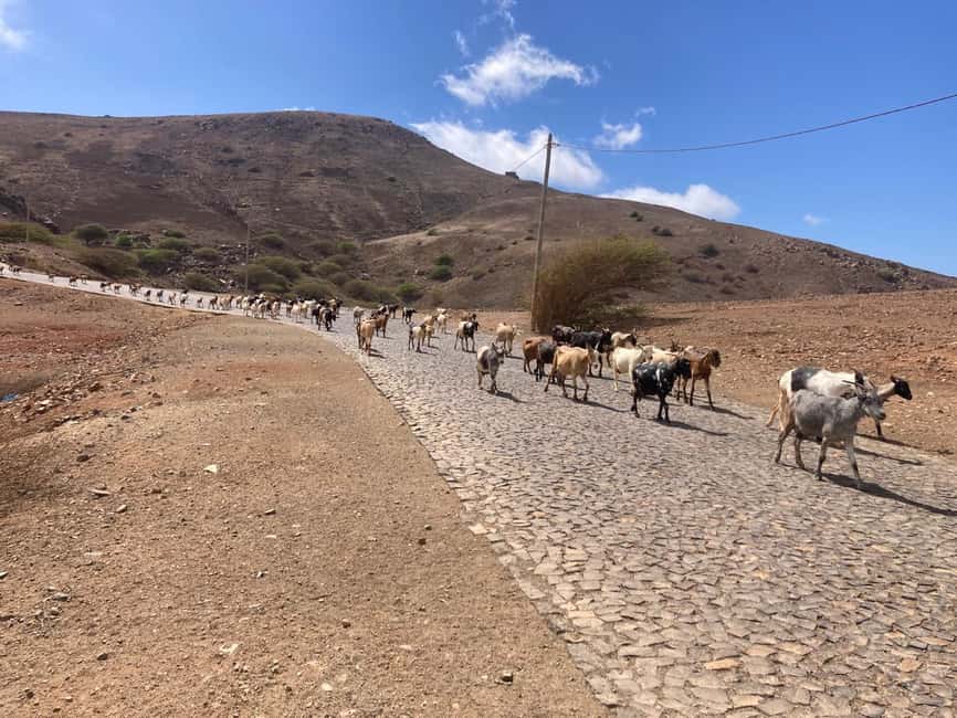 image n.5 of Monte Verde by Car & Tea House – São Vicente’s Highest Point activity in São Vicente, Cape Verde, uploaded by supplier