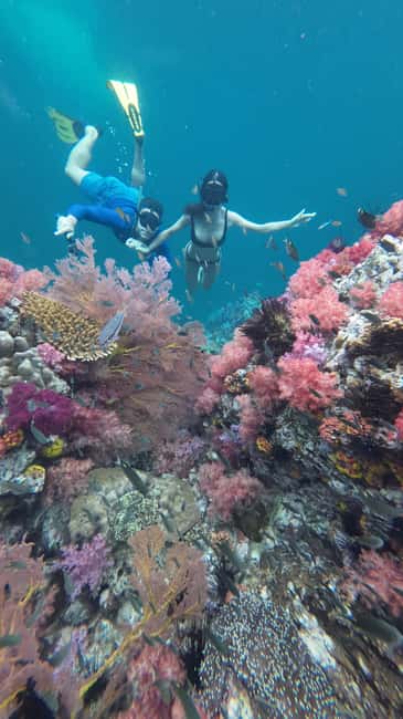image n.19 of Koh Lipe: Longtail Boat Snorkeling Trip with Lunch activity in Gulf of Thailand, uploaded by supplier