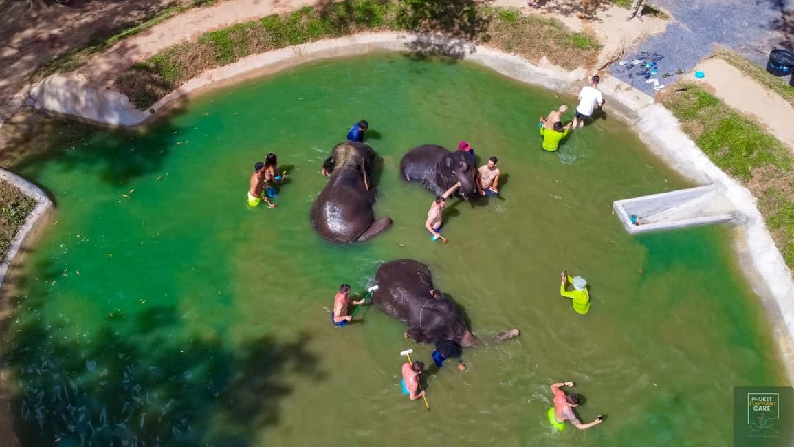 image n.18 of Phuket: Half-Day Elephant Explorer at Phuket Elephant Care activity in Kathu, Phuket, uploaded by supplier