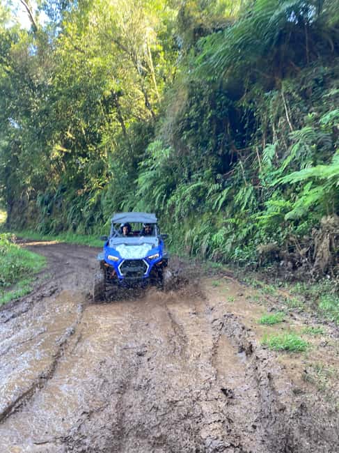 image n.16 of Madeira: Off-Road Buggy Driving Experience activity in Madeira, uploaded by supplier