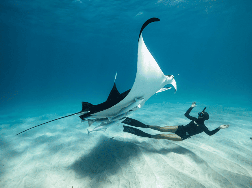 image n.1 of Nusa Penida Island: Manta Point Snorkeling & West Coast Tour activity in Batoemadeg, uploaded by supplier