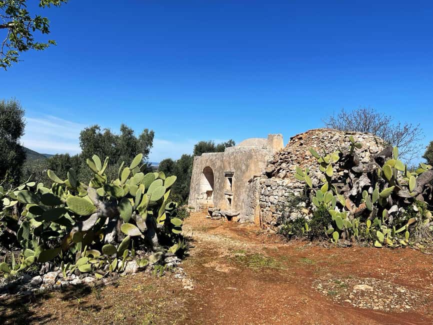 Immagine nº 42 di Ostuni: Tour in bicicletta con un bicchiere di vino e bruschetta attività a Ostuni, caricata dal fornitore