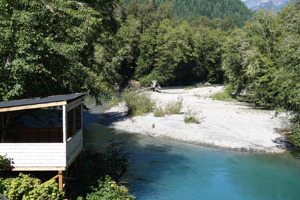 image n.7 of Vancouver Island: Full-Day Grizzly Bear Tour at Toba Inlet activity in British Columbia, uploaded by supplier