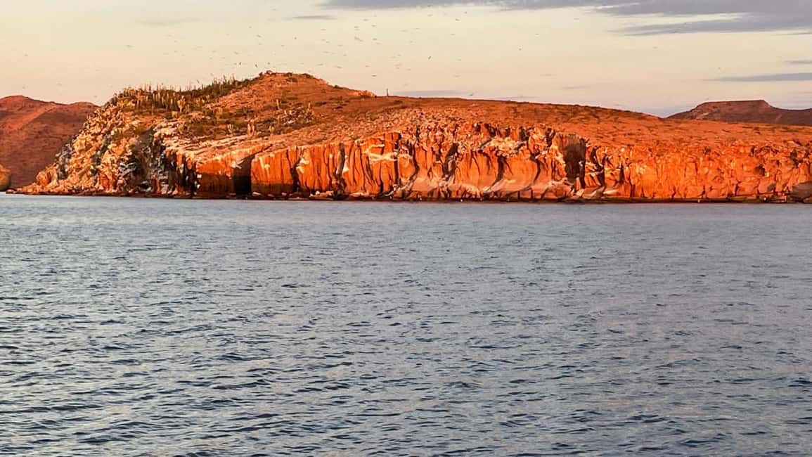 image n.22 of La Paz: Espiritu Santo Island and Balandra Bay Day Cruise activity in Baja California Sur, uploaded by supplier