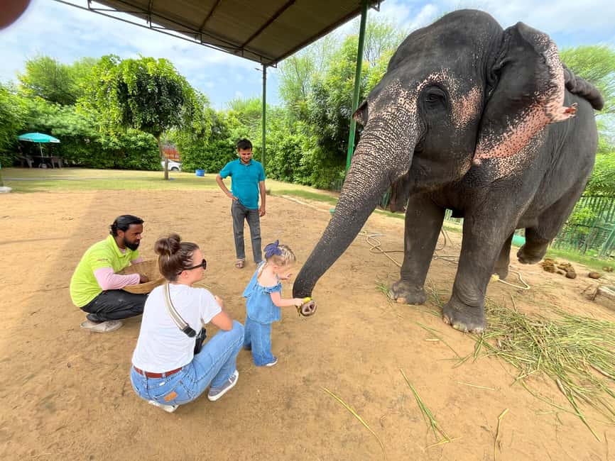 image n.13 of Jaipur: Elephant Interaction Tour activity in Jaipur, uploaded by supplier