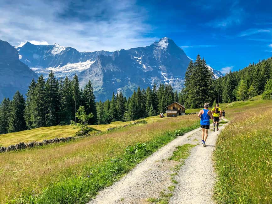 imagen n.º 8 de Viaje privado de Zúrich a Grindelwald e Interlaken actividad en Interlaken, subida por el proveedor