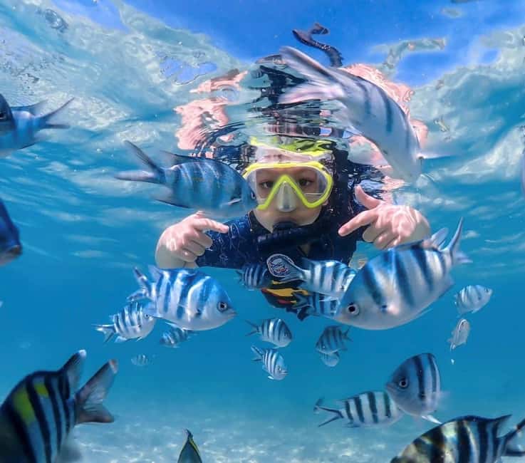 imagen n.º 13 de Bangkok: Excursión de un día a la Isla de Nemo con fotos de drones y almuerzo actividad en Pattaya, subida por el proveedor