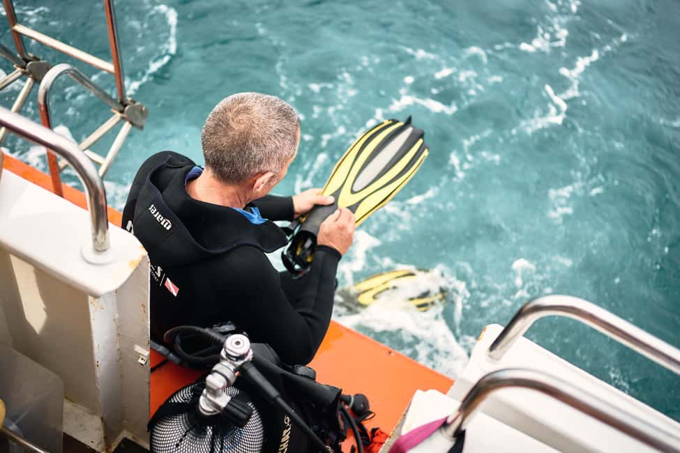 image n.10 of Istria: Aquavision Glassboat panoramic tour of Umag activity in Umag, uploaded by supplier