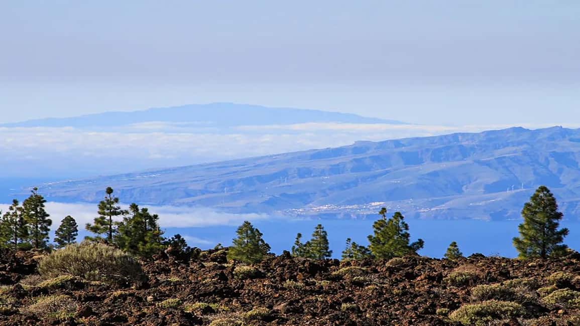 billede nr.2 af aktiviteten Fra det sydlige Tenerife: Halvdagstur til Teide-bjerget i Kanarieøerne, uploadet af udbyder