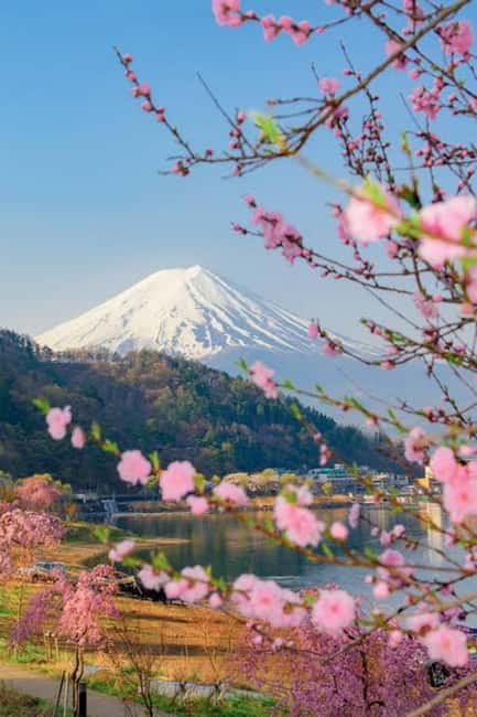 obrázek č.38 aktivity Z Tokia: Celodenní soukromá prohlídka hory Fuji s možností přizpůsobení v destinaci Hakone, nahraný poskytovatelem aktivity