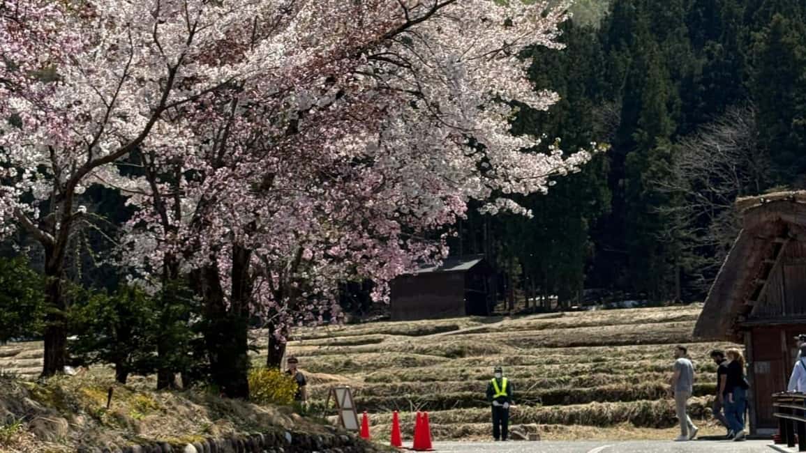 サプライヤーによってアップロードされた、高山の金沢/高山発：白川郷＆高山日帰りツアーの画像#33