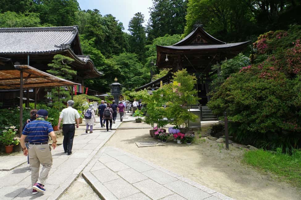 image n.13 of Nikko Heritage & Nature Day Trip from Tokyo activity in Nikko, uploaded by supplier
