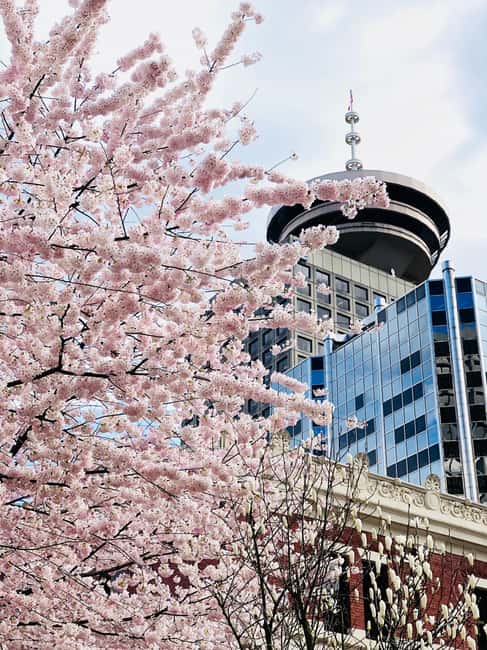 image n.12 of Vancouver: City Tour & Lookout with Optional YVR Drop-Off activity in Vancouver, uploaded by supplier