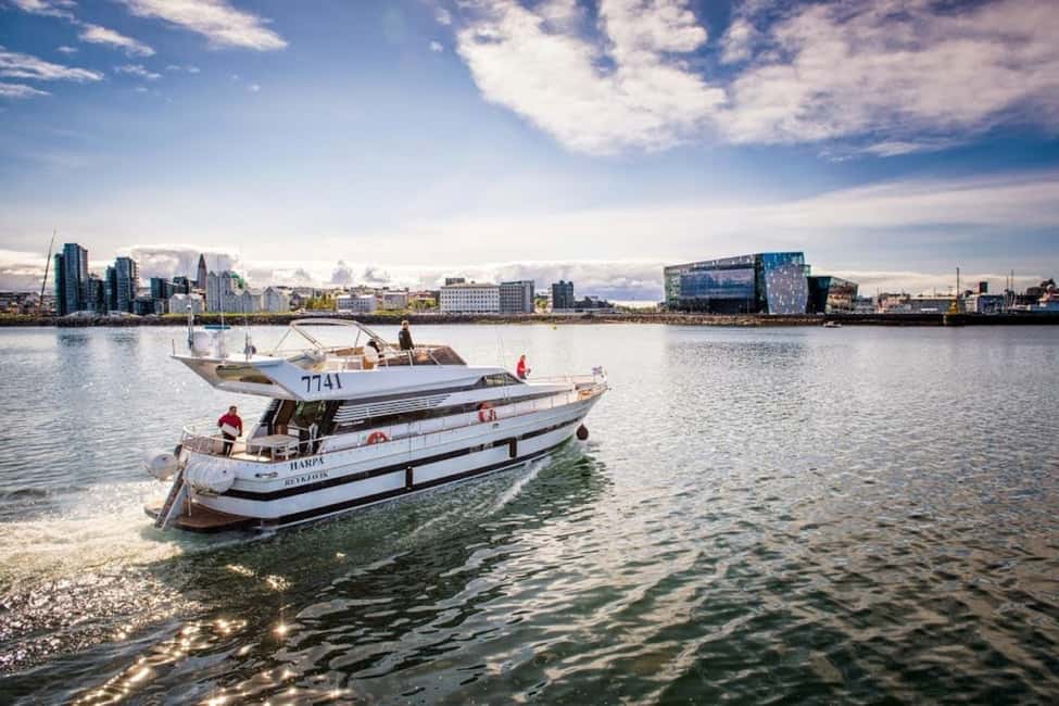 image n.3 of Reykjavik: Northern Lights Motor Yacht Cruise activity in Reykjavik, uploaded by supplier