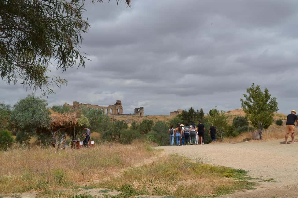 billede nr.12 af aktiviteten Dagstur fra Fes til Volubilis via Meknes og Moulay Idriss i Meknès, uploadet af udbyder